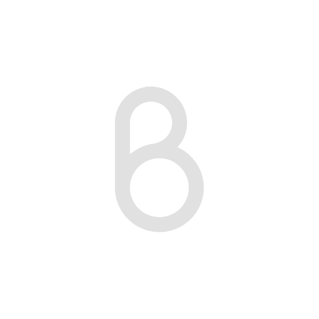 Berger Studios logo